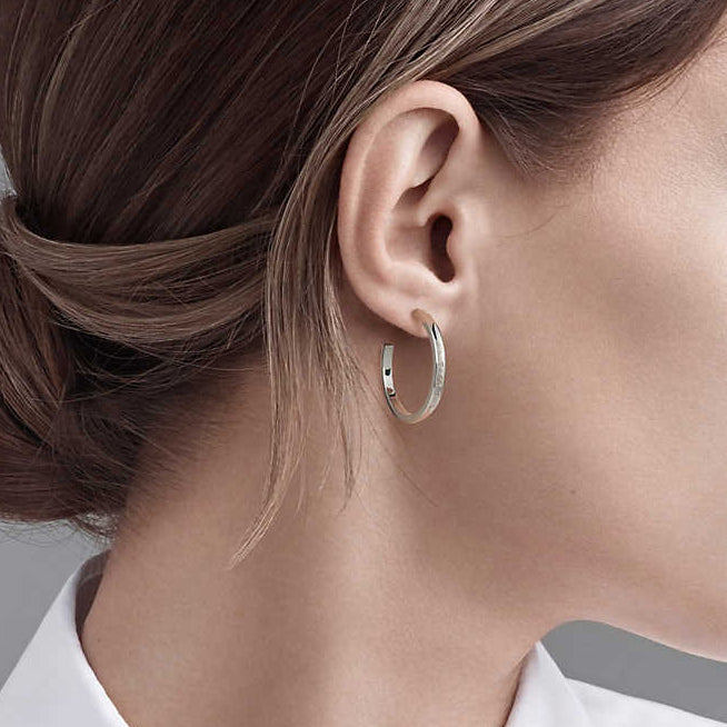 TIF343073211837 series light gold circle earrings