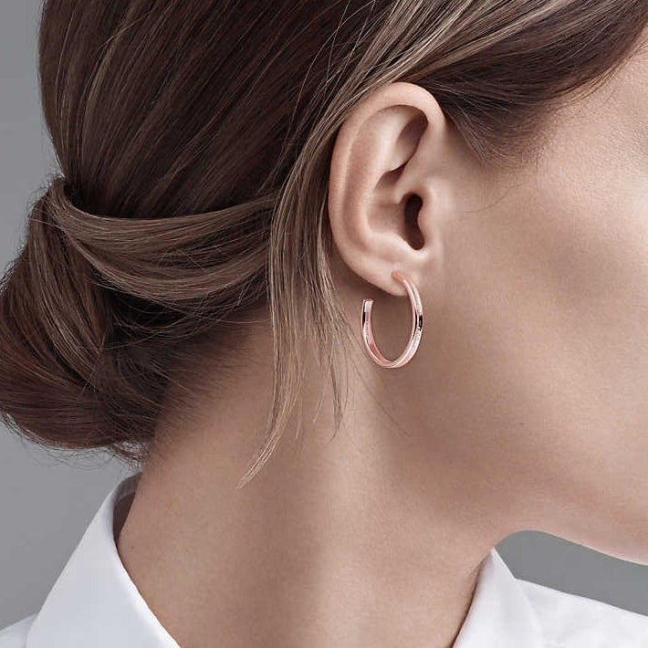 TIF343073211837 series light gold circle earrings