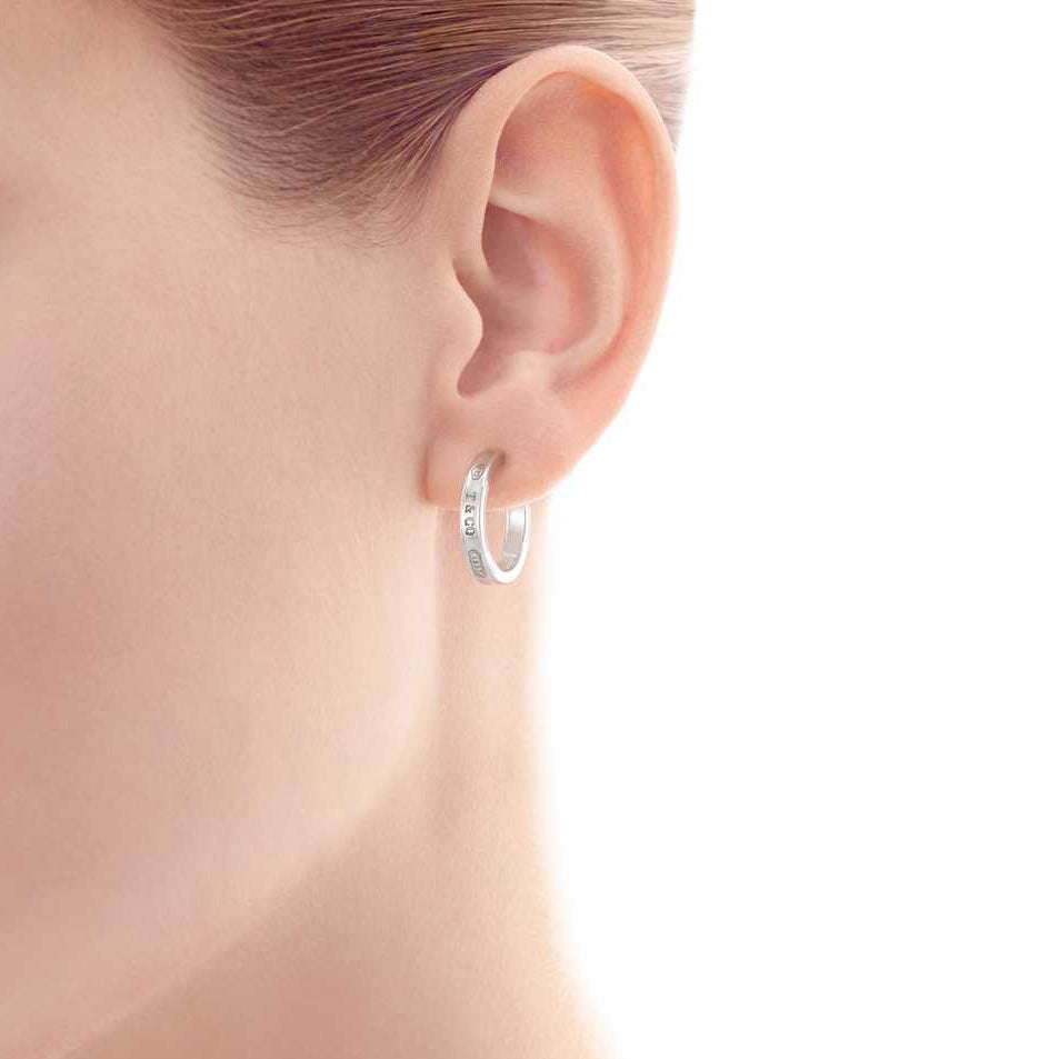 TIF866283251837 series light gold half circle earrings