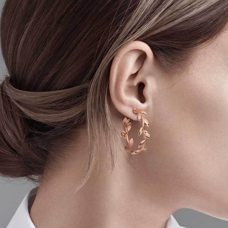 TIF53146530 light gold olive leaf hoop earrings