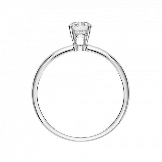 BGL-AN771742 four-claw single-head ring
