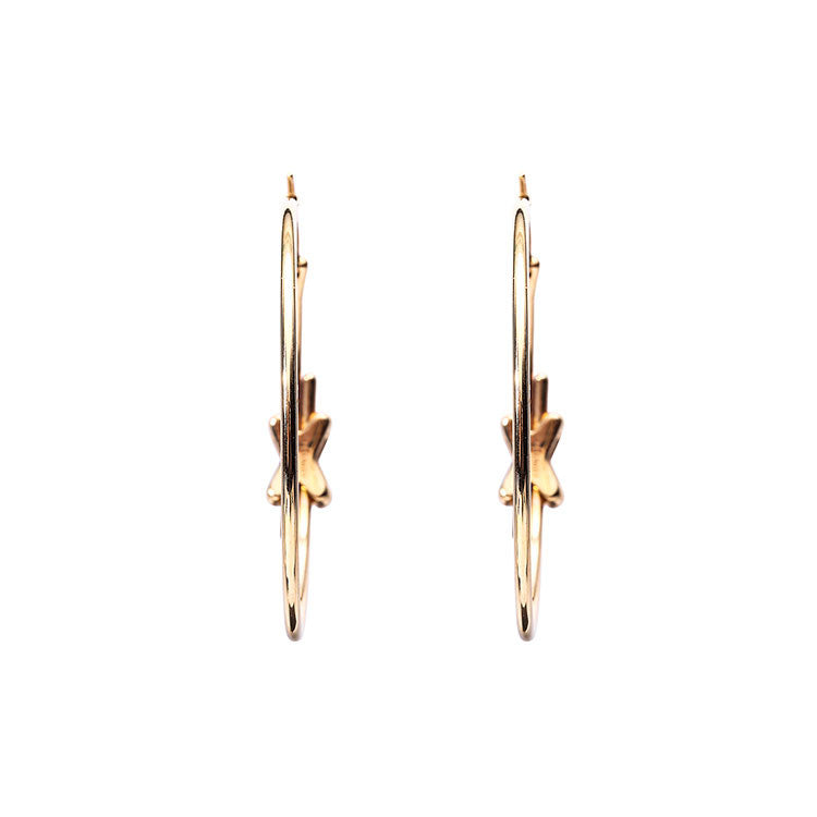 SM-BJ762155 split earrings