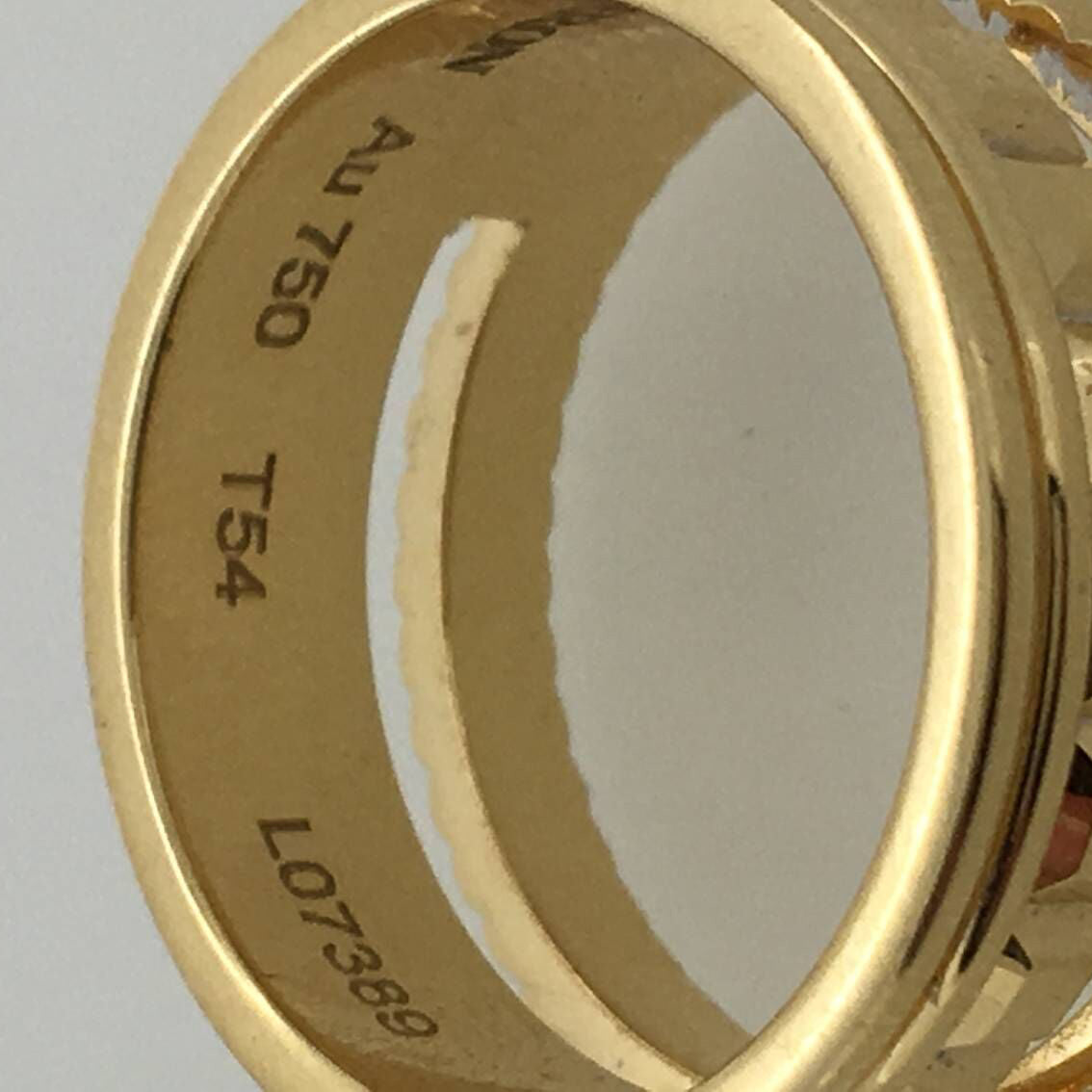 BSL-JRG02951 chocolate ring light gold (guest version)
