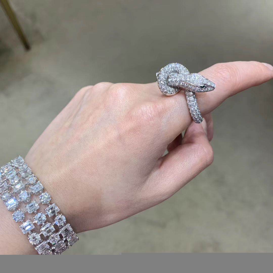 BSL-0065 snake ring