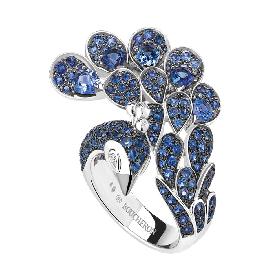 BSL-JRG01968 fully drilled bird ring