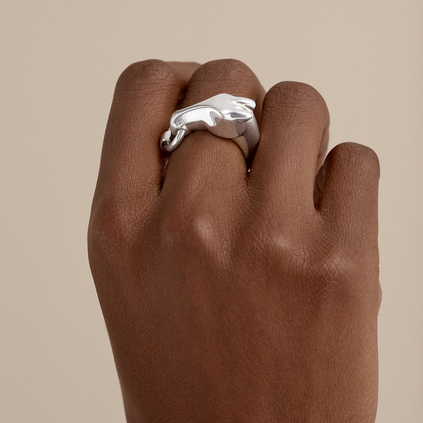 AiHshi-H113603B light gold horse head bite ring 46#