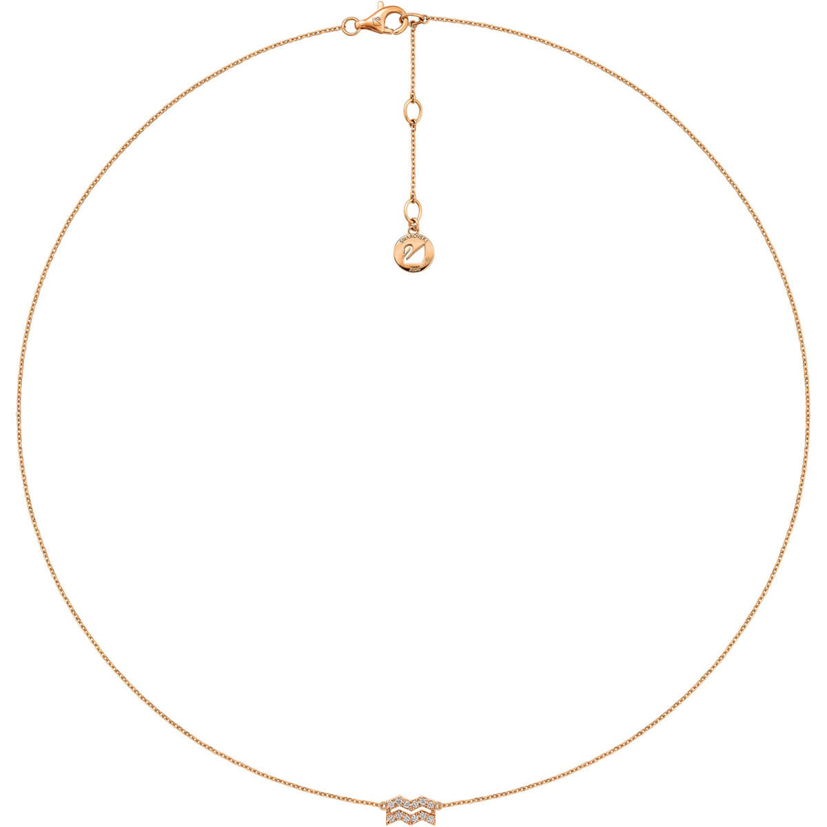 SHL-3800262 Twelve Zodiac Pendant Aquarius