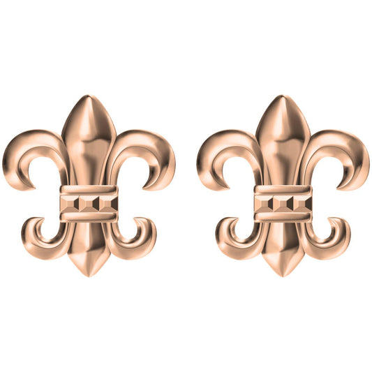 KLX-ES69206750 thatch earrings