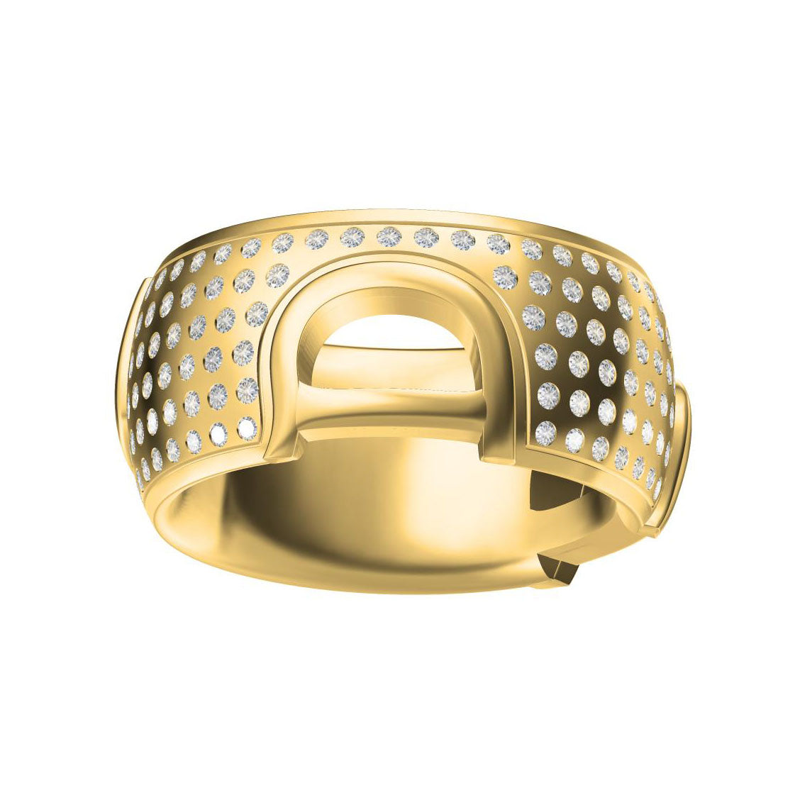DMY-21756870D&D ring