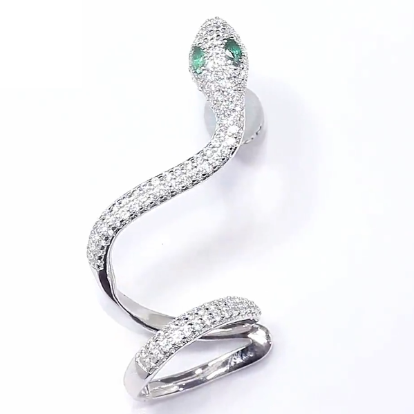 APM-8035646 snake earring ear cuff