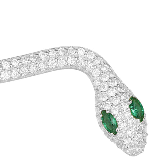 APM-8035646 snake earring ear cuff