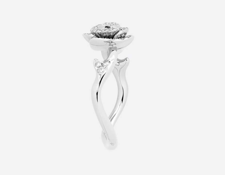 DA-JRCO95012 rose ring