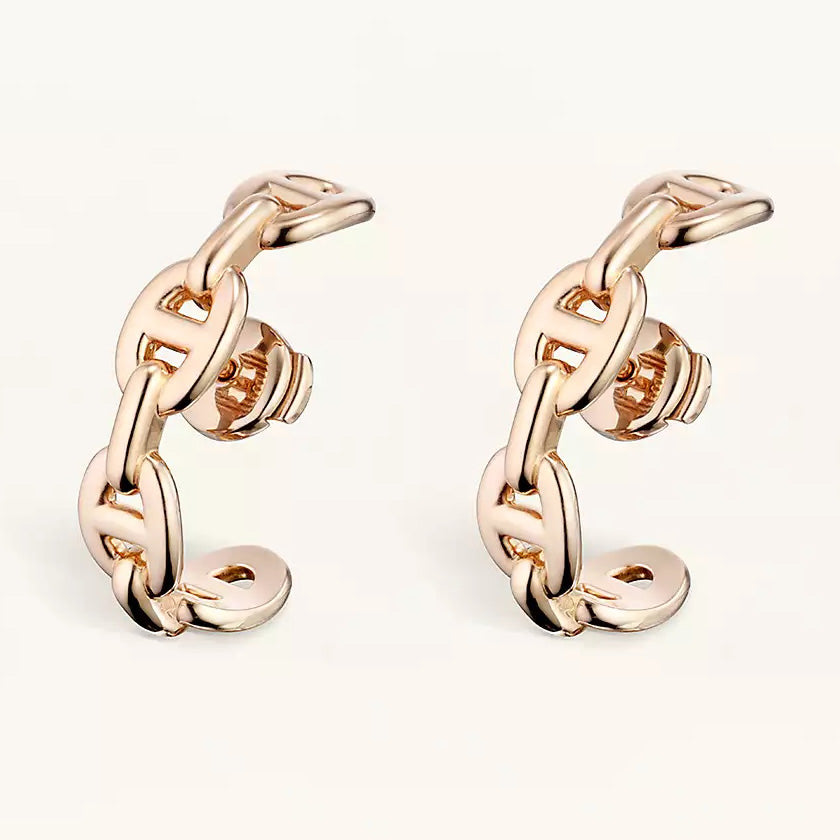 AMS-H221511B half-length Japanese character pig nose earrings