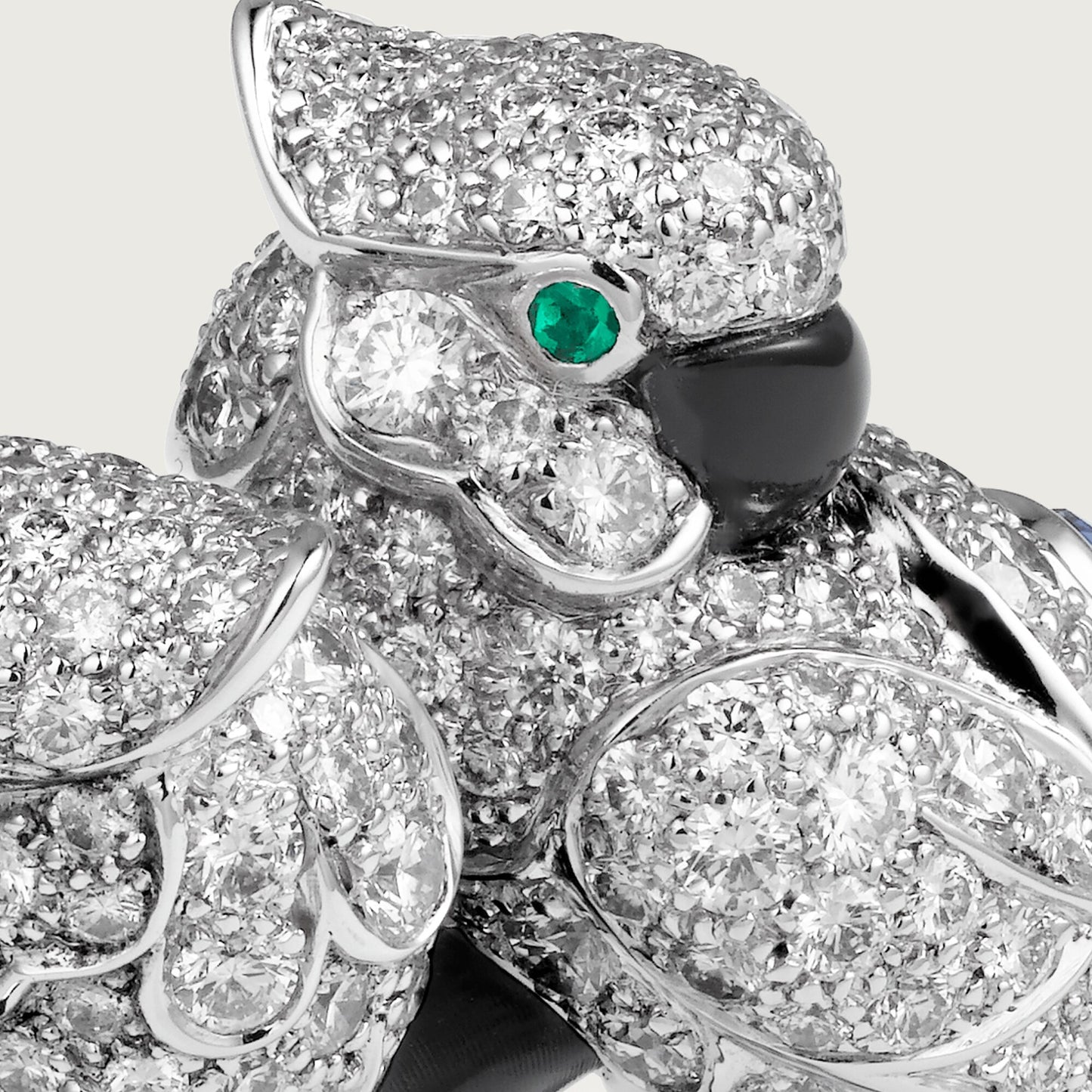KDY-N4251300 pair of parrot rings