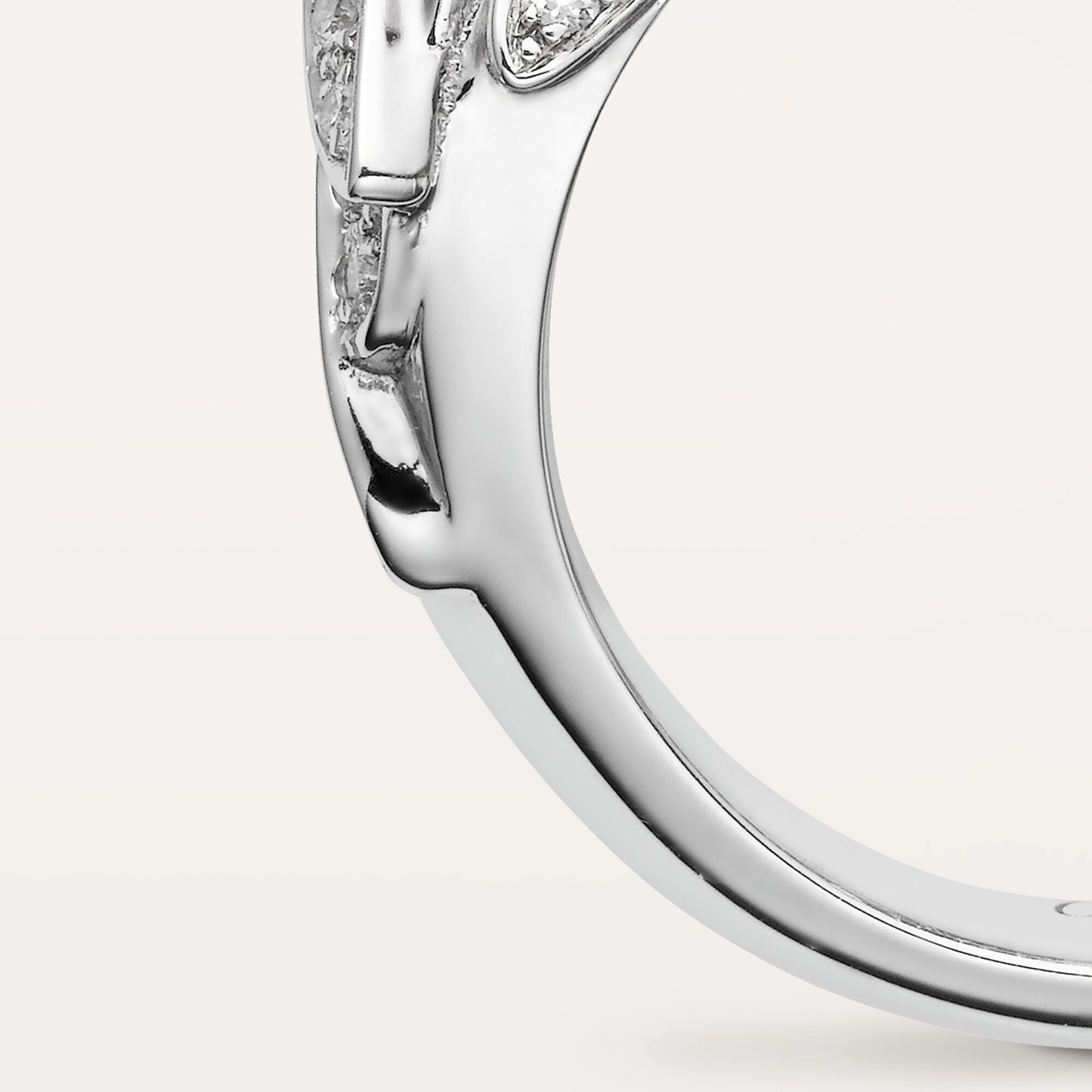 KDY-N4251300 pair of parrot rings