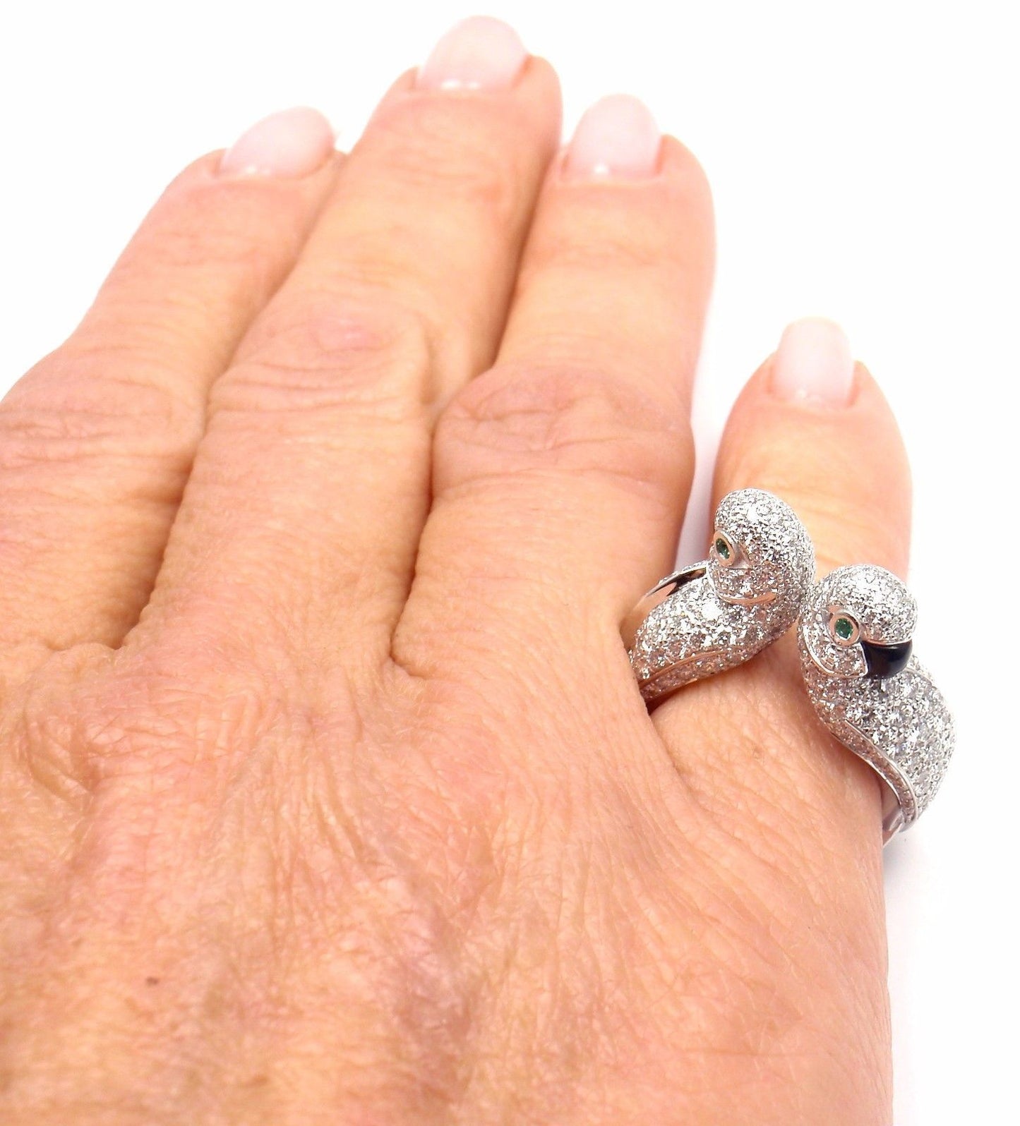 KDY-N4244800 Double Parrot Lovebird Open Ring