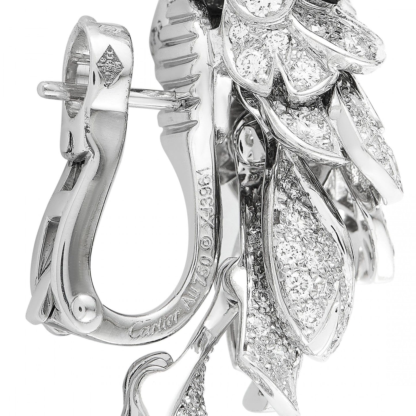 KDY-N8503300 full diamond parrot earrings ear clap ear clip