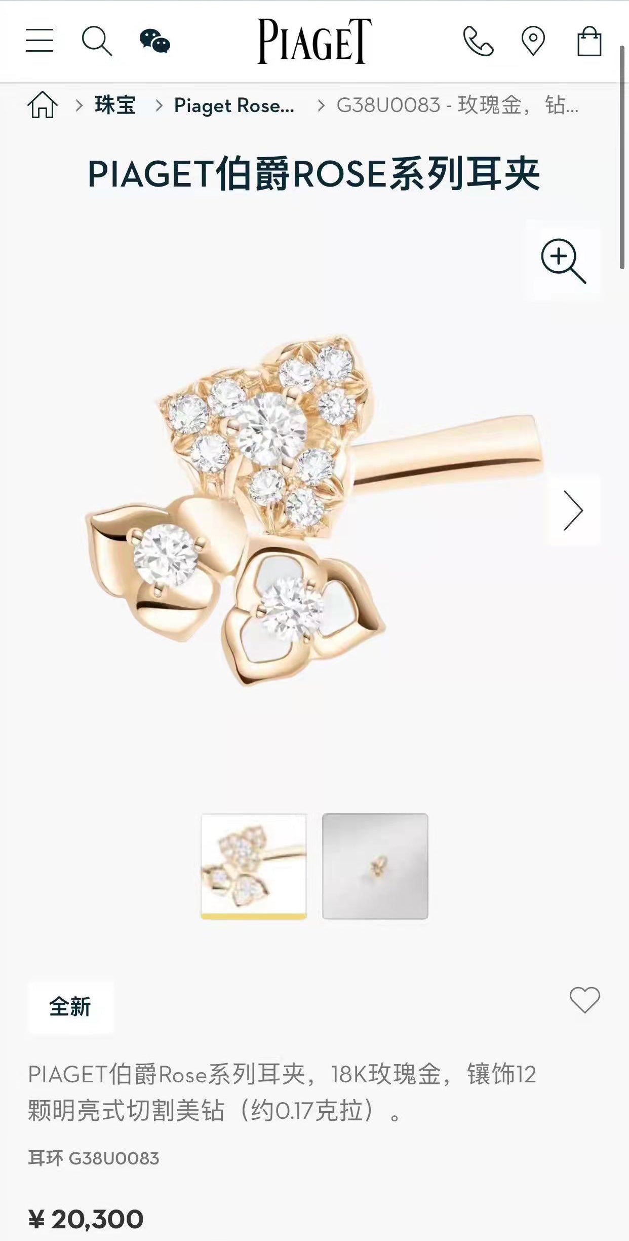 BJ-G38U0083 petal earrings