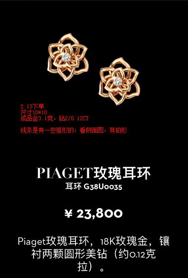 BJ-G38U0035丝带花耳环