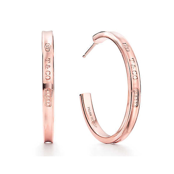 TIF343073211837 series light gold circle earrings