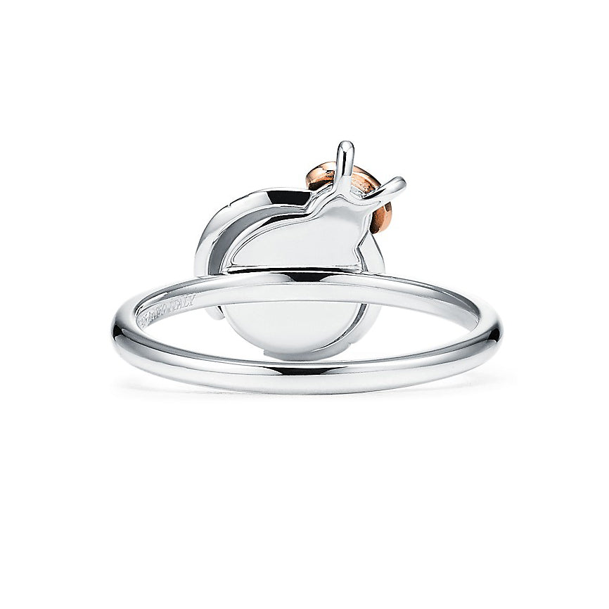 TIF25337726 ladybug color separation ring