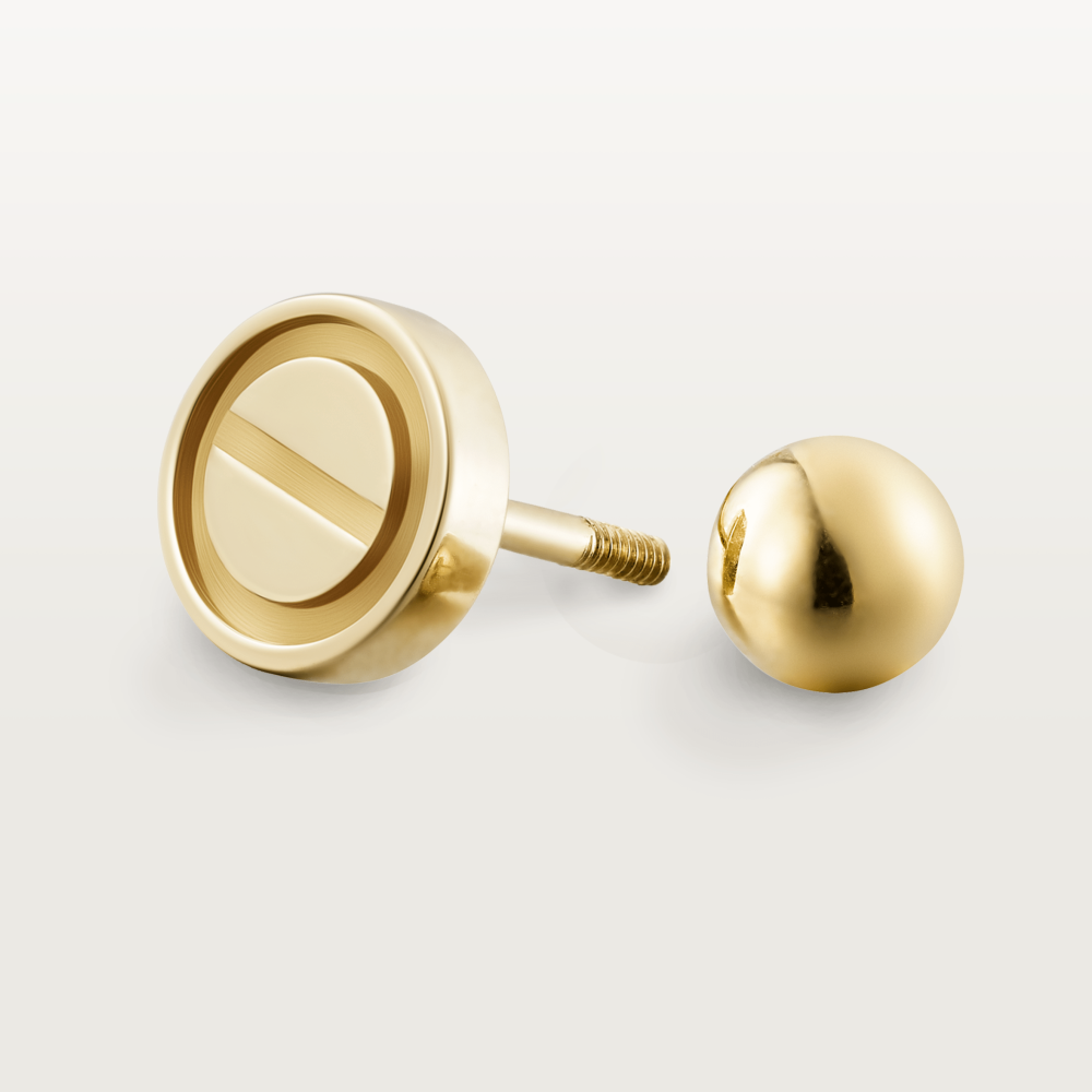 KDY-B8301421 6mm wide screw earrings