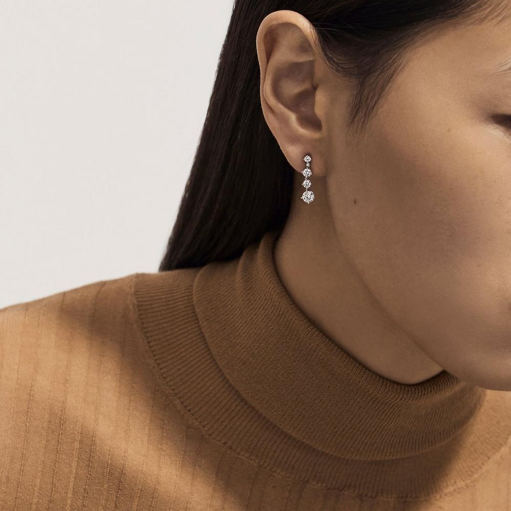 DBES-E102158 single layer diamond movable gradient earrings