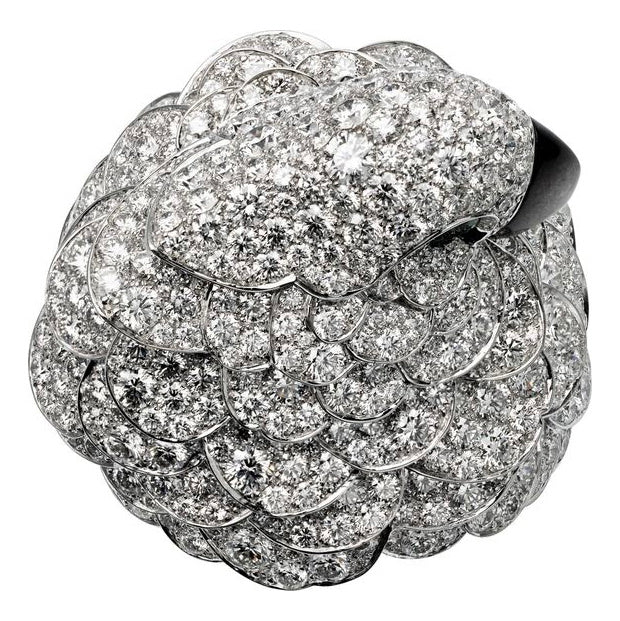 KDY-K1381955 parrot ring (cannot be used as a watch)