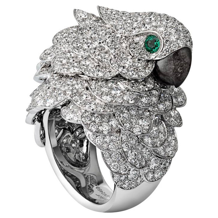 KDY-K1381955 parrot ring (cannot be used as a watch)