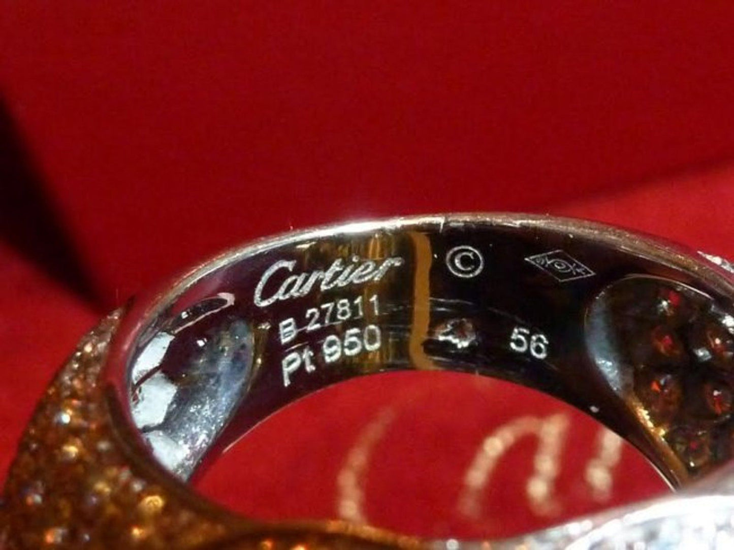 KDY-K1381955 parrot ring (cannot be used as a watch)