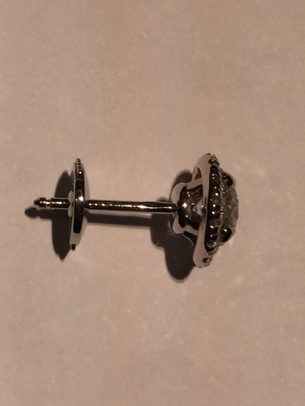KDY-N8515020交叉四爪虎爪围石约0.3ct