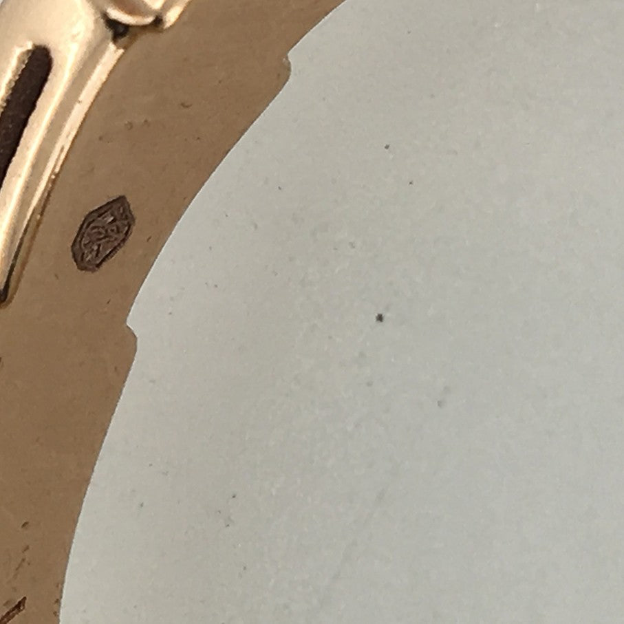 BGL-AN856868窄版蛇身款光金条戒客版