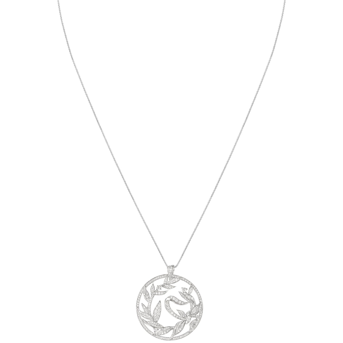SM-083502 Laurel Branch Series
