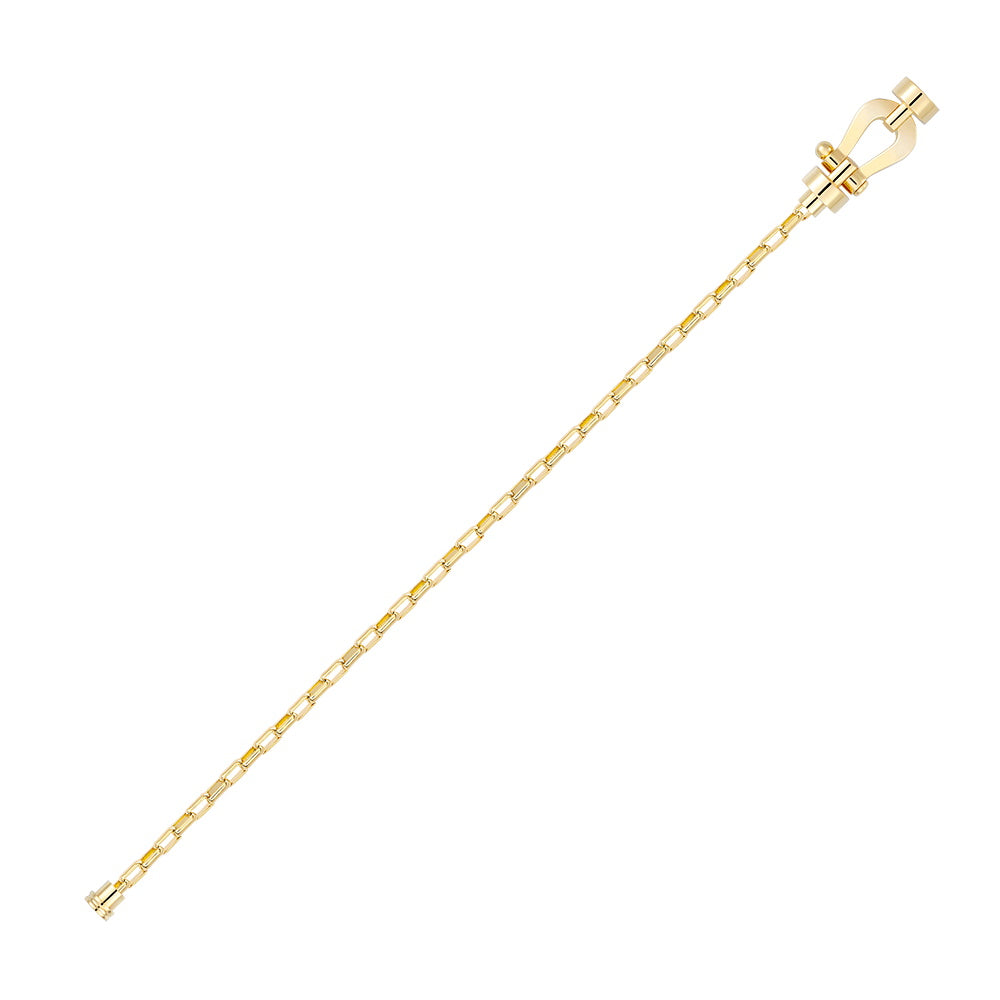 FLD-0B0069-6B043 Horseshoe bracelet guest version