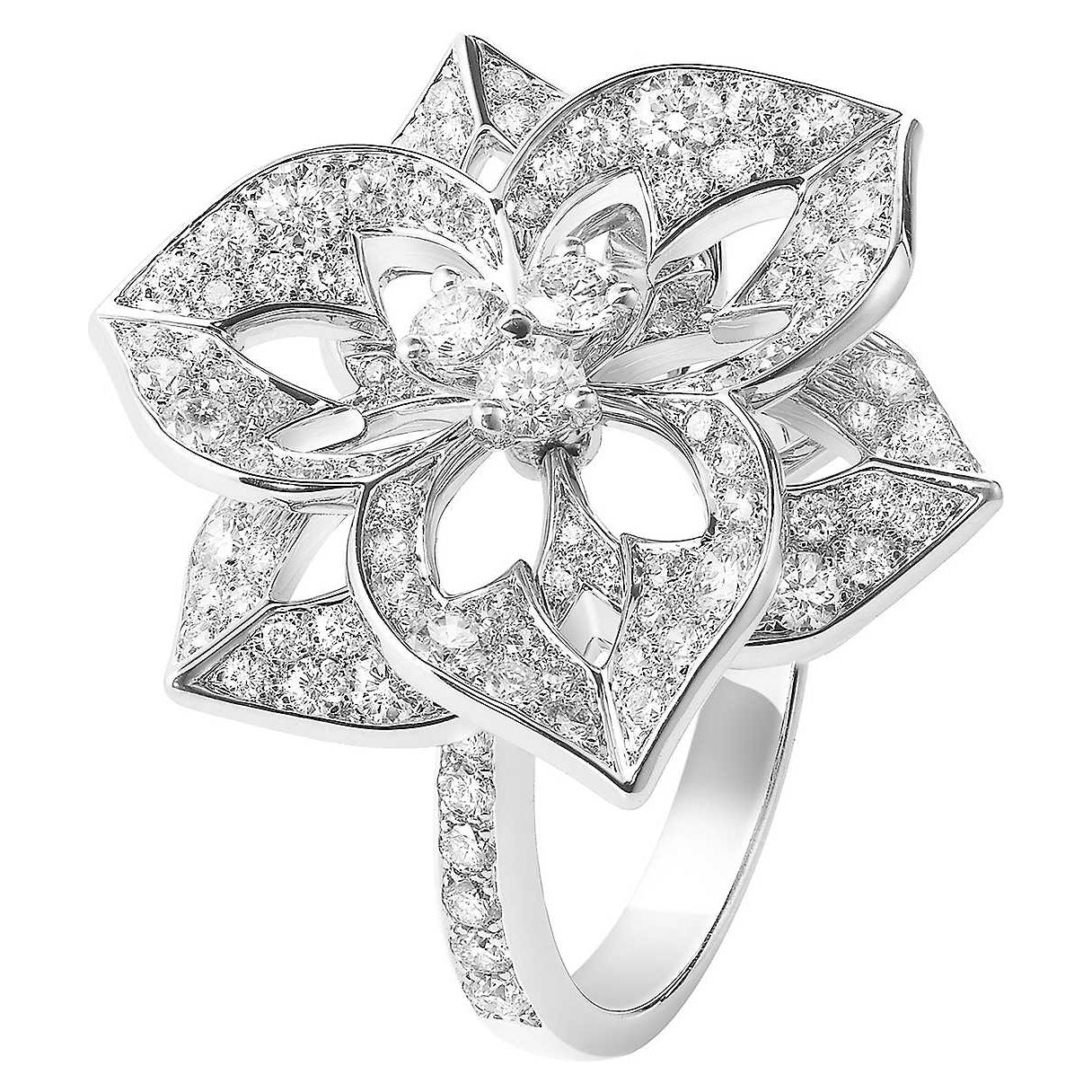 BSL-JRG02170花叶、中号