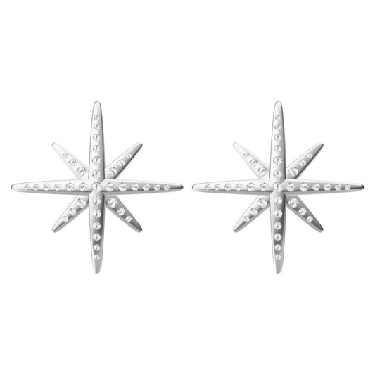 APM-3316997 star earrings