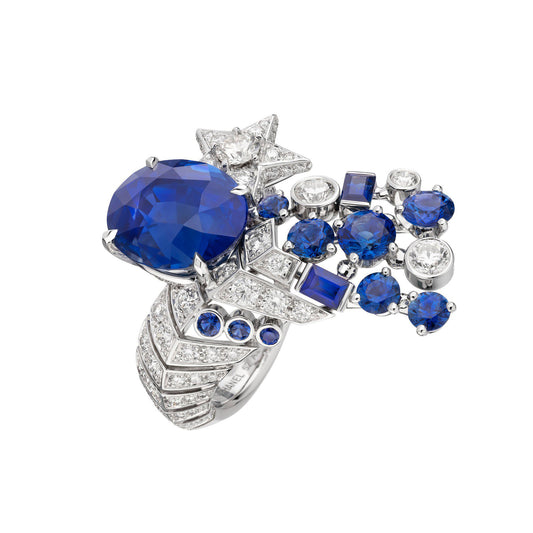 XNE230413LX Egg-shaped 10x8.5 Sapphire Meteor Star Ring