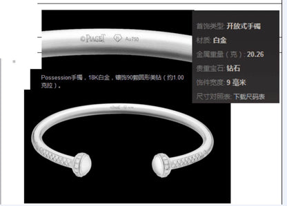 BJ-G36PV500开放式半镶转转手镯