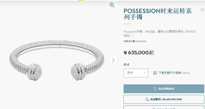 BJ-G36PV600 open full set twist bracelet