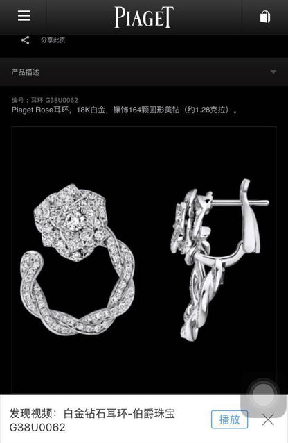 BJ-G38U0062满镶花耳环