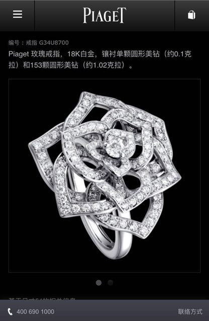 BJ-G34U8700镶石丝带花戒