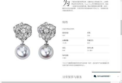 BJ-G38U0067满镶层层花珍珠耳环