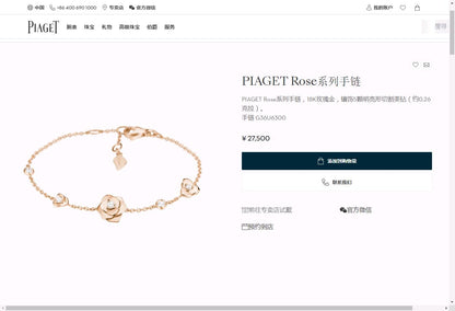 BJ-G36U6300光金花手链