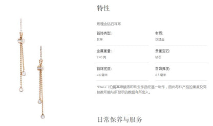 BJ-G38PZ300满镶转转耳环