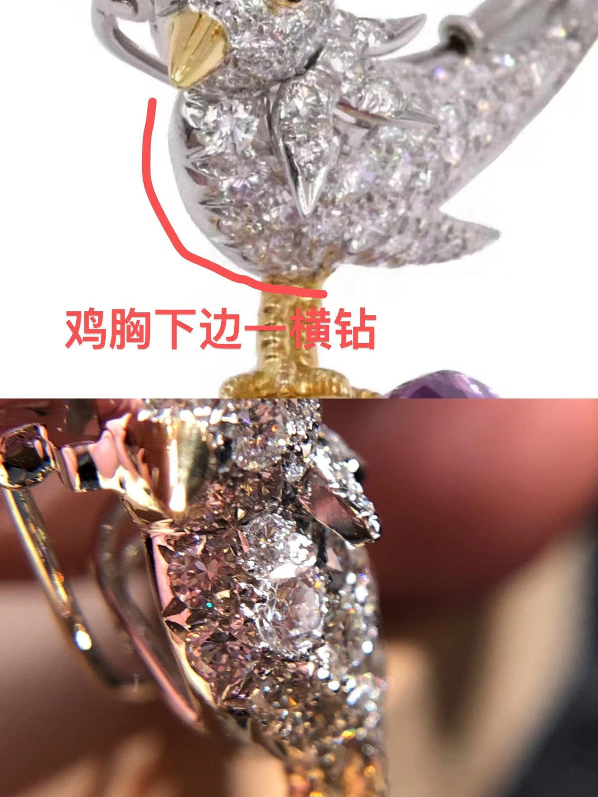 TIF31758570分色小鸟彩宝胸针枕形石22mm