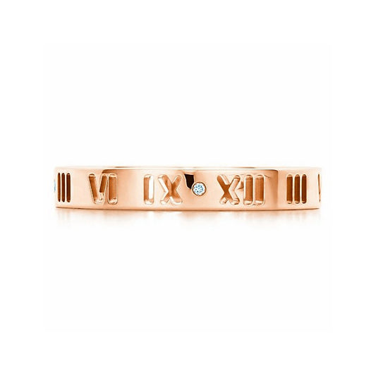TIF72536626 Cutting pit Roman ring