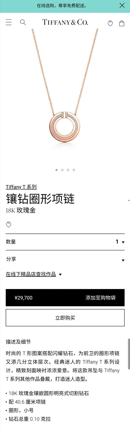 TIF20417804小号圈形镶钻T字栓链吊坠
