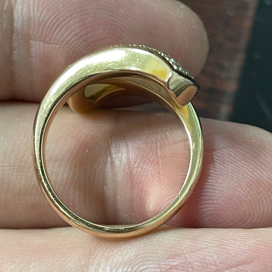 BGL-481694 Horn Sector Ring 13#