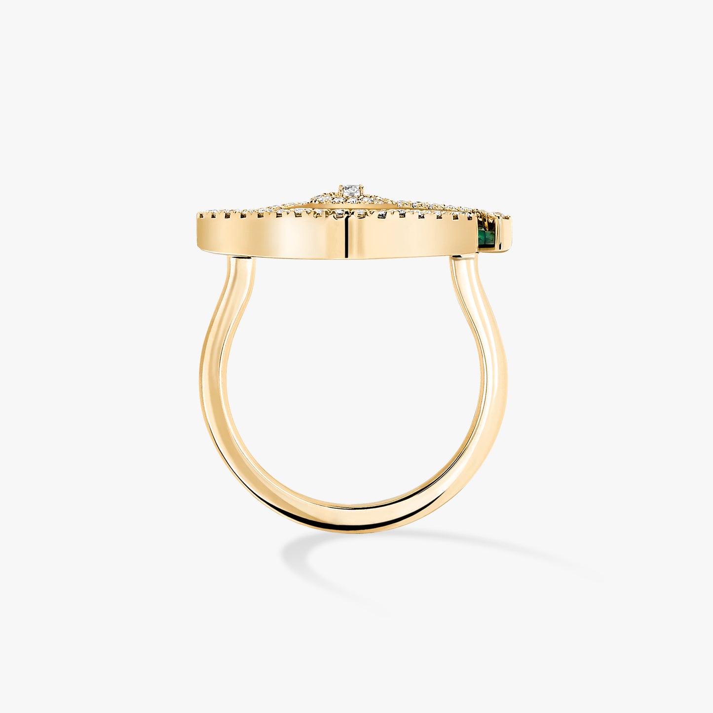 MSK-12954 eye ring