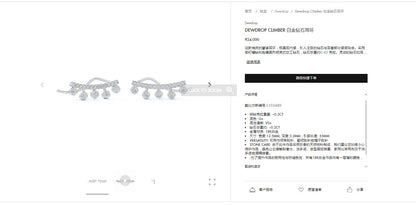 DBES-E103489泡钻石耳环